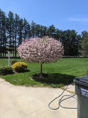 4089 30th Street, Salem Twp, MI 49323