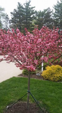 4089 30th Street, Salem Twp, MI 49323