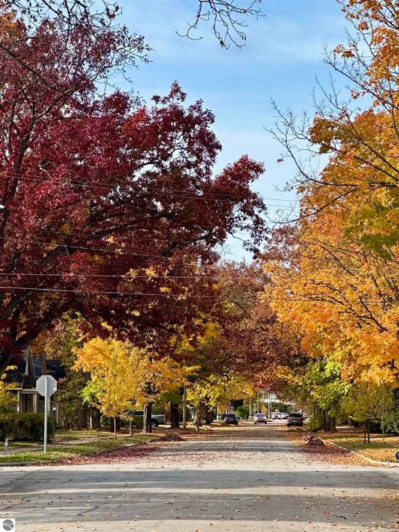Tree-lined street in Traverse City, showcasing vibrant autumn foliage with red, orange, and yellow leaves, and a clear blue sky.
