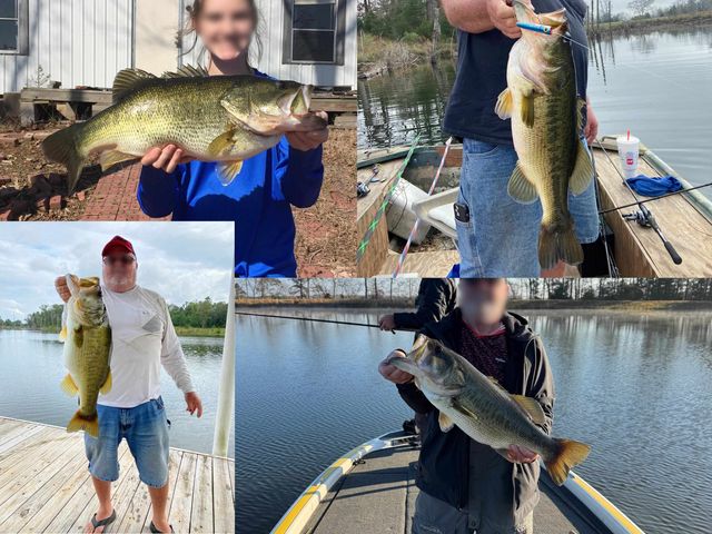 330 PR 691, Beckville, TX 75631