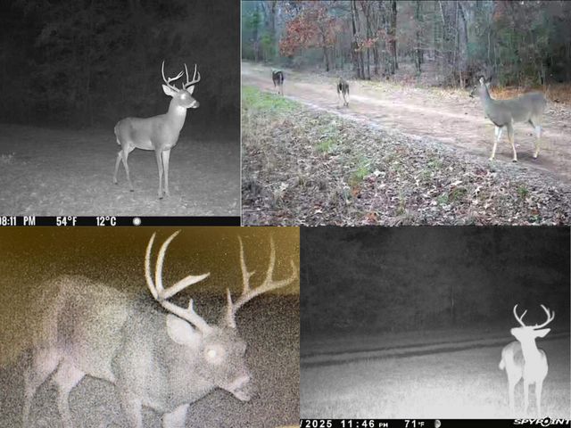 330 PR 691, Beckville, TX 75631