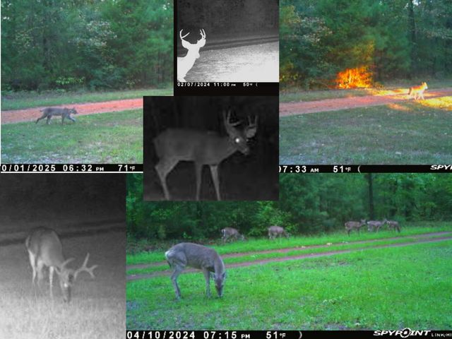 330 PR 691, Beckville, TX 75631