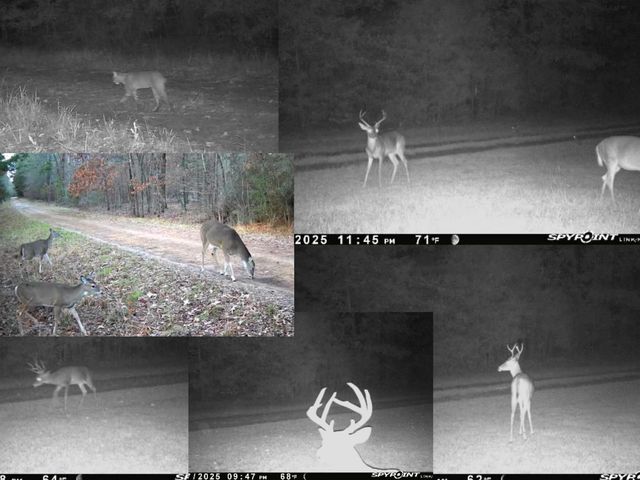 330 PR 691, Beckville, TX 75631