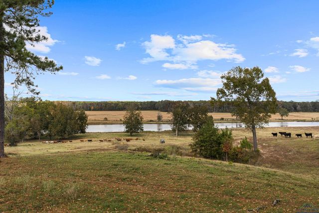 330 PR 691, Beckville, TX 75631