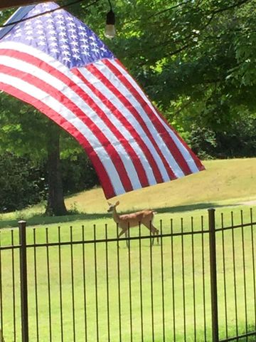 4500 Knoll Ridge Drive, Fort Worth, TX 76008