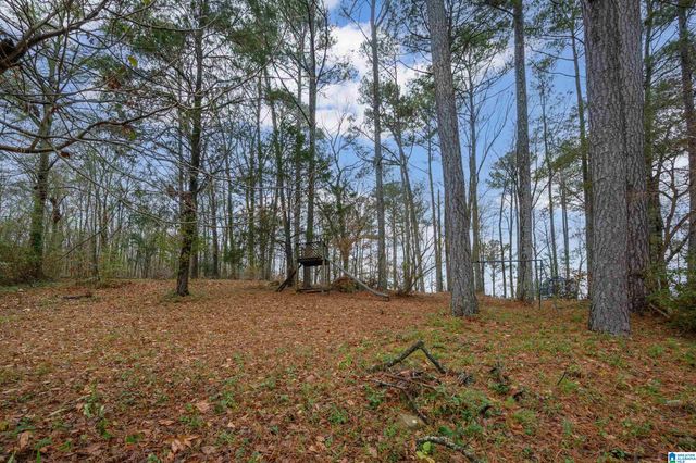 4792 TRUSSVILLE CLAY ROAD, Trussville, AL 35173