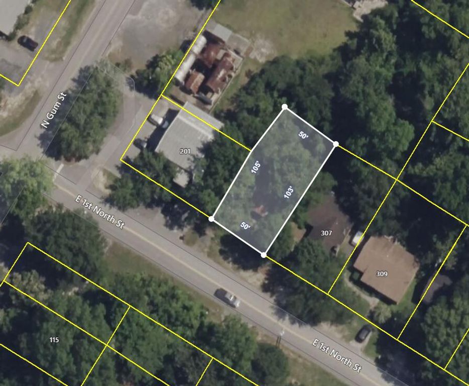 305 E 1st N Street, Summerville, SC 29483