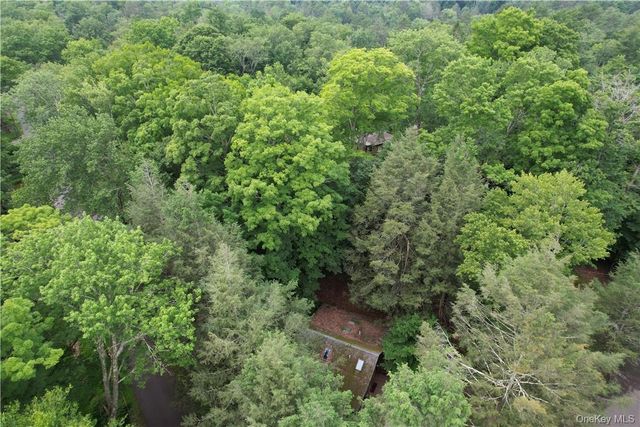 38 W Adirondack Trail, Smallwood, NY 12778