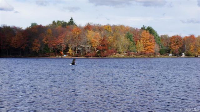 38 W Adirondack Trail, Smallwood, NY 12778