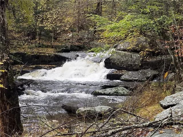 38 W Adirondack Trail, Smallwood, NY 12778