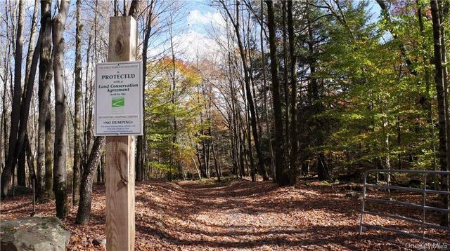 38 W Adirondack Trail, Smallwood, NY 12778