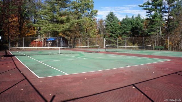 38 W Adirondack Trail, Smallwood, NY 12778