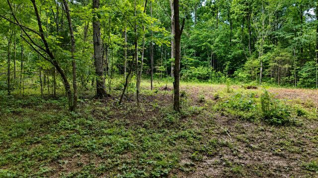 956 Furnace Mountain Road, Monticello, KY 42633