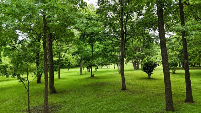 956 Furnace Mountain Road, Monticello, KY 42633
