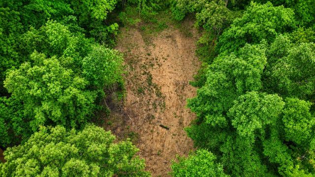 956 Furnace Mountain Road, Monticello, KY 42633