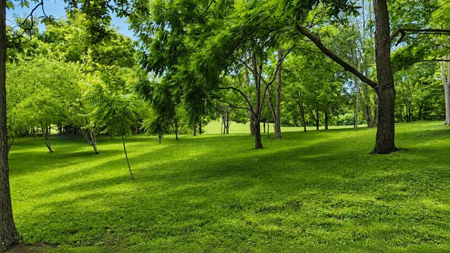 956 Furnace Mountain Road, Monticello, KY 42633