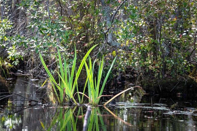 709 Everetts Mill Road, Rockingham, NC 28379