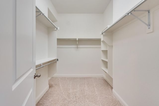 8144 Pitkin Road, Frisco, TX 75036