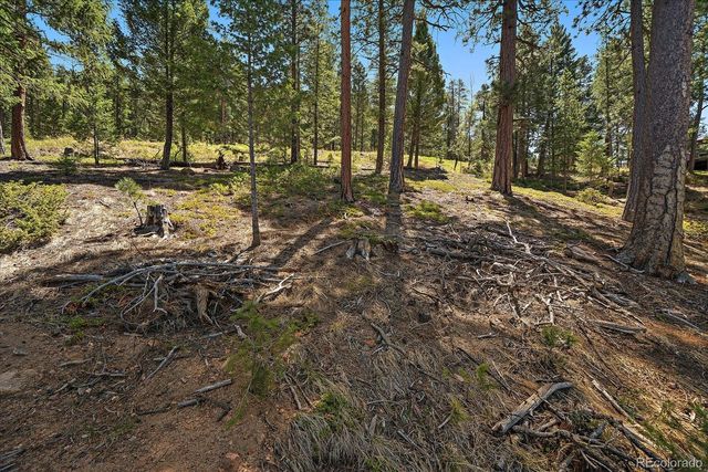 6875 Lynx Lair Road, Evergreen, CO 80439
