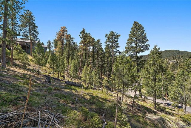 6875 Lynx Lair Road, Evergreen, CO 80439