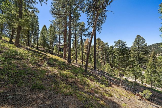 6875 Lynx Lair Road, Evergreen, CO 80439