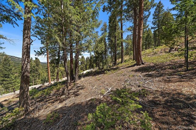6875 Lynx Lair Road, Evergreen, CO 80439