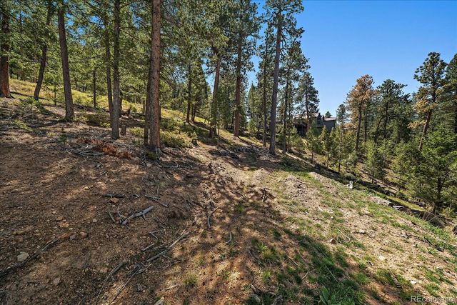 6875 Lynx Lair Road, Evergreen, CO 80439