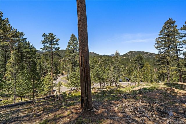 6875 Lynx Lair Road, Evergreen, CO 80439