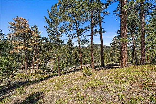 6875 Lynx Lair Road, Evergreen, CO 80439