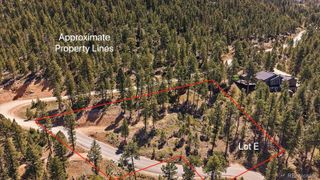 6875 Lynx Lair Road, Evergreen, CO 80439
