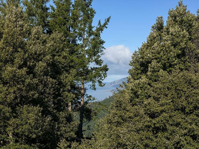 127 Cook Road, Shelter Cove, CA 95589