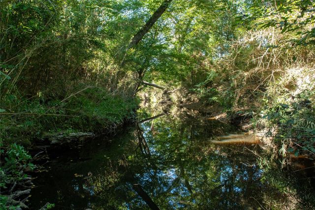 2792 Forest Hopson Road, Zavalla, TX 75980