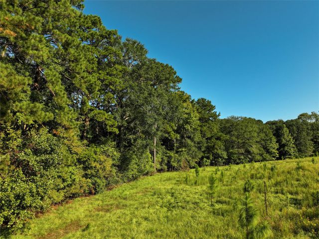 2792 Forest Hopson Road, Zavalla, TX 75980