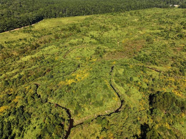 2792 Forest Hopson Road, Zavalla, TX 75980