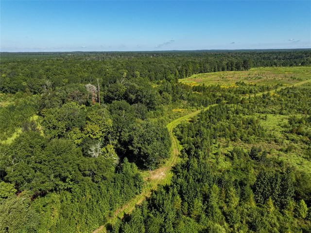 2792 Forest Hopson Road, Zavalla, TX 75980