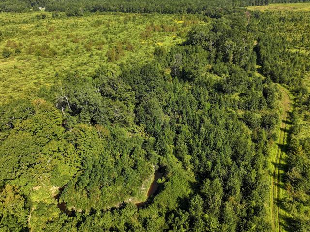 2792 Forest Hopson Road, Zavalla, TX 75980