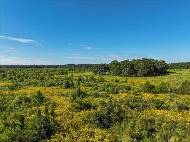 2792 Forest Hopson Road, Zavalla, TX 75980