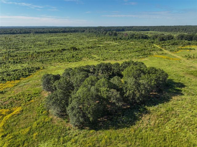 2792 Forest Hopson Road, Zavalla, TX 75980