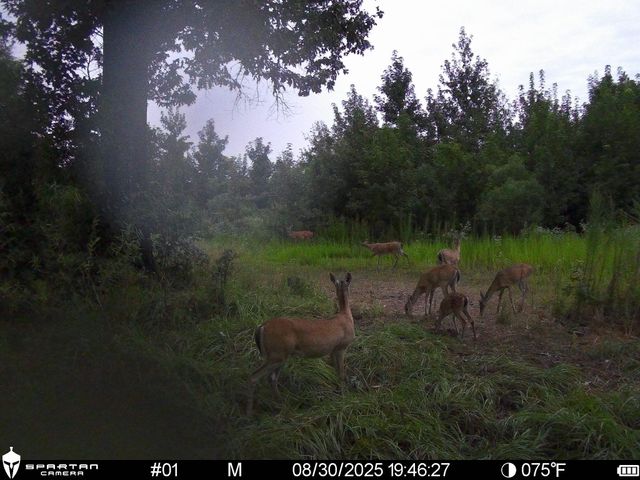 2792 Forest Hopson Road, Zavalla, TX 75980