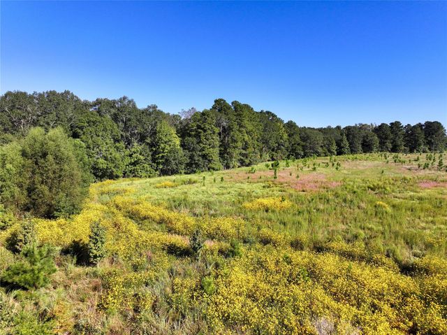 2792 Forest Hopson Road, Zavalla, TX 75980
