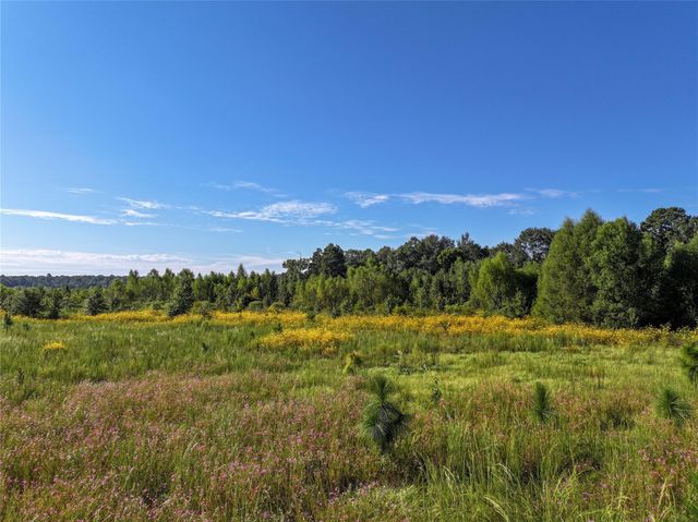 2792 Forest Hopson Road, Zavalla, TX 75980