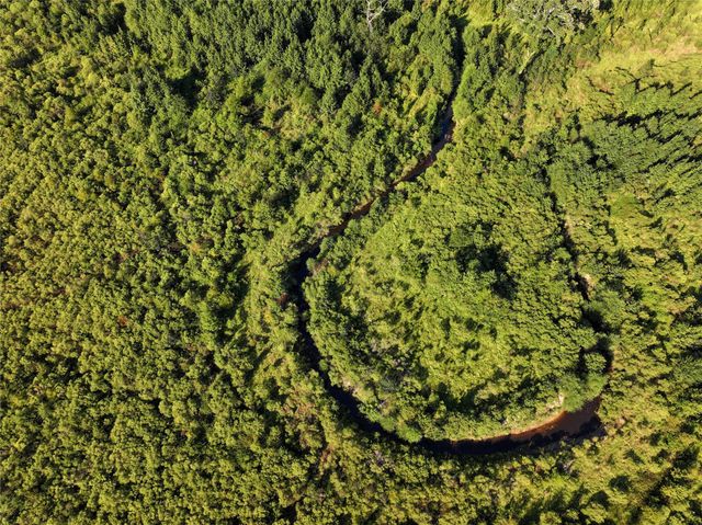 2792 Forest Hopson Road, Zavalla, TX 75980