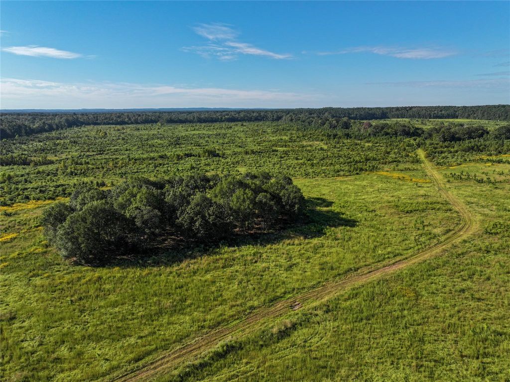 2792 Forest Hopson Road, Zavalla, TX 75980