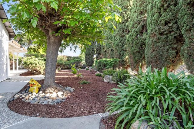 4221 Meg Drive, San Jose, CA 95123
