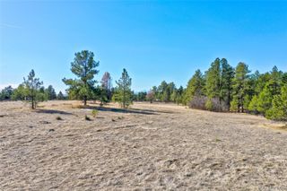 1801 Marie Elena Way, Franktown, CO 80116