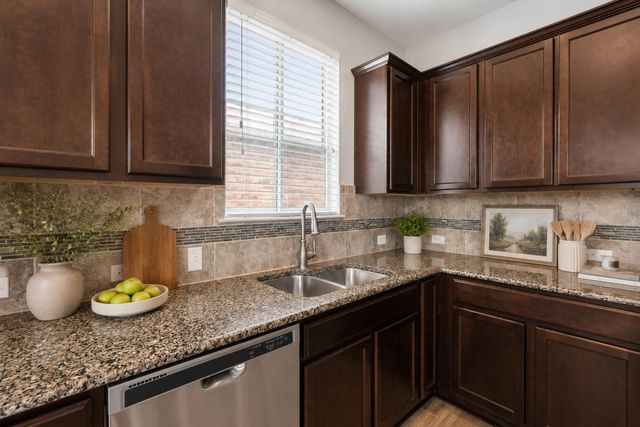 301 Stella Gold ST, Buda, TX 78610