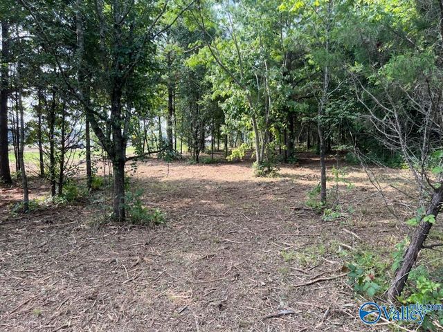 6.47 acres South Greenway Drive, Trinity, AL 35673