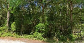 NE 6TH LANE ROAD, Silver Springs, FL 34488