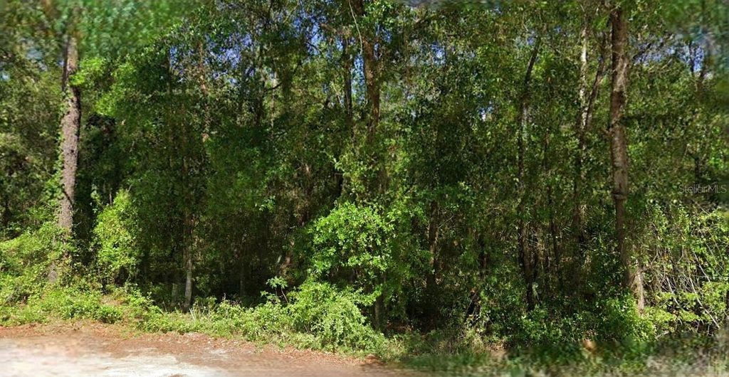 NE 6TH LANE ROAD, Silver Springs, FL 34488