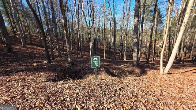 128R Red Oak Trail, East Ellijay, GA 30540